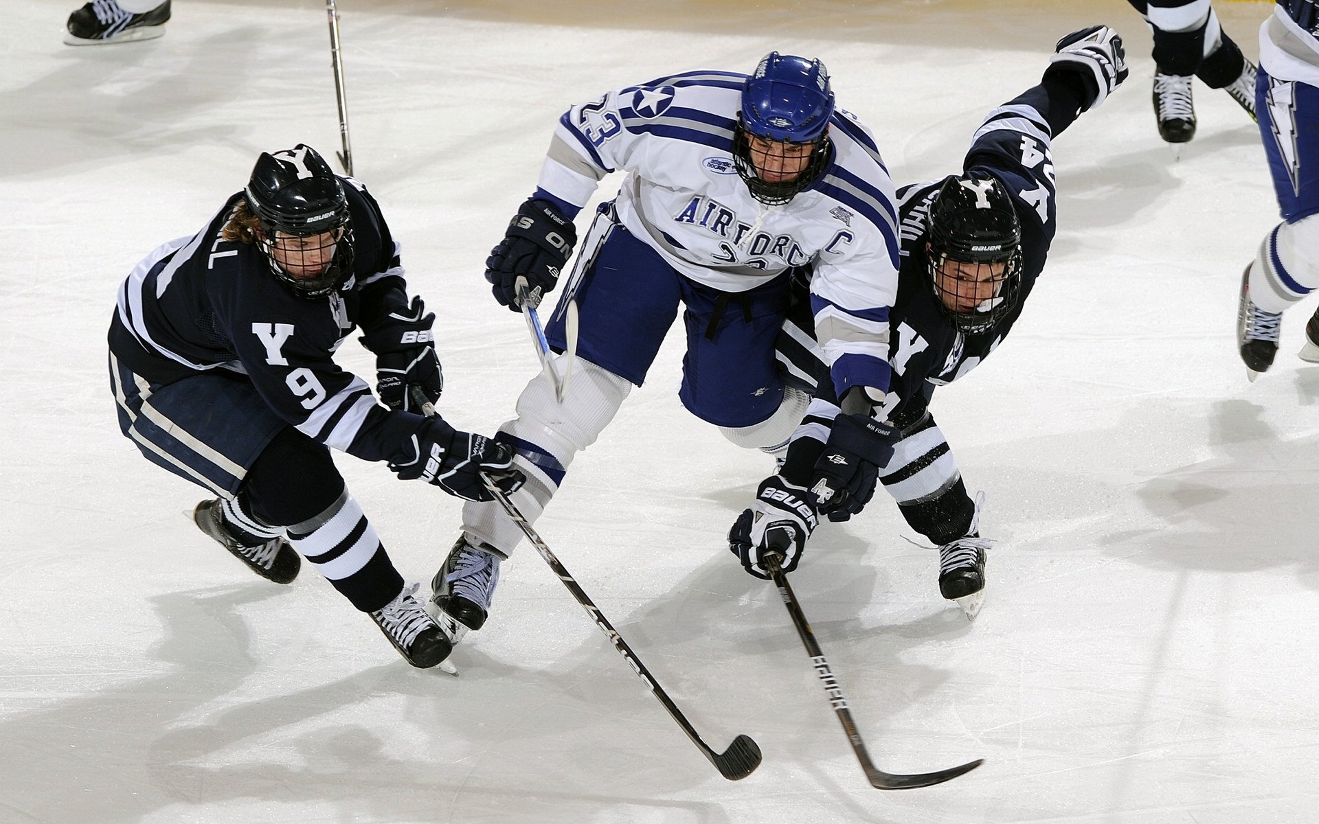高尔夫大师赛诞生新冠军，高尔夫大师杯2020